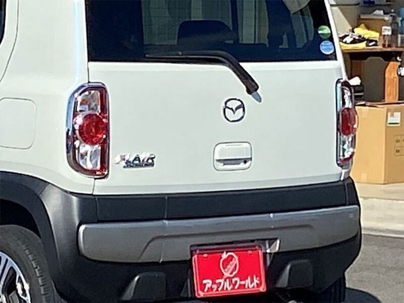 FLAIR CROSSOVER