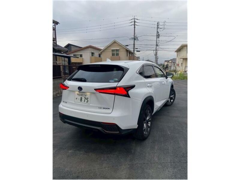 NX