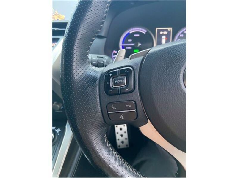 NX