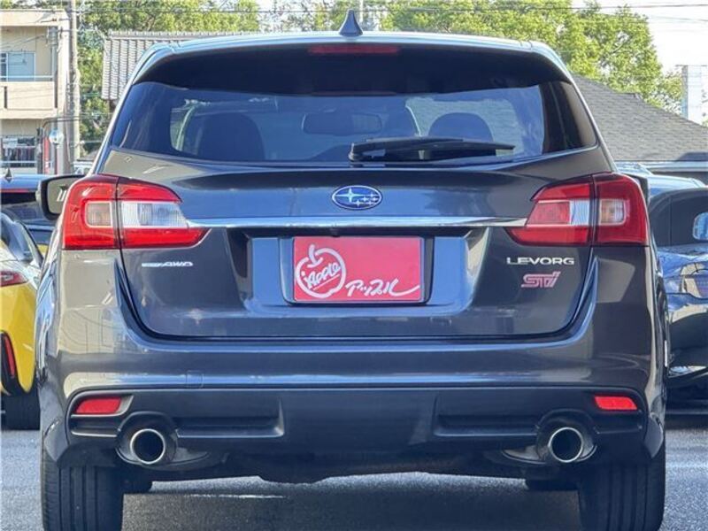 LEVORG