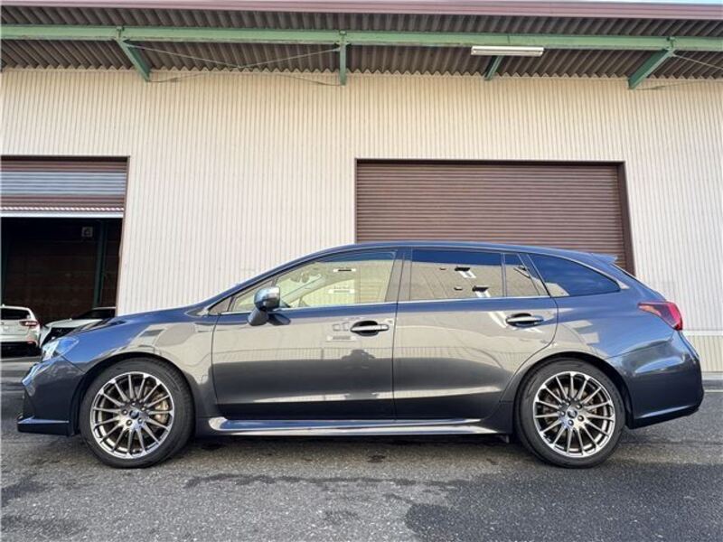 LEVORG