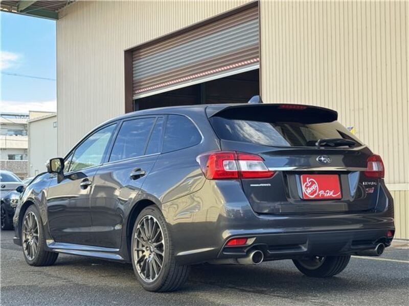 LEVORG