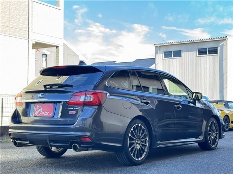 LEVORG