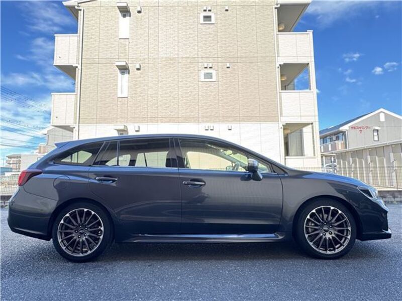 LEVORG
