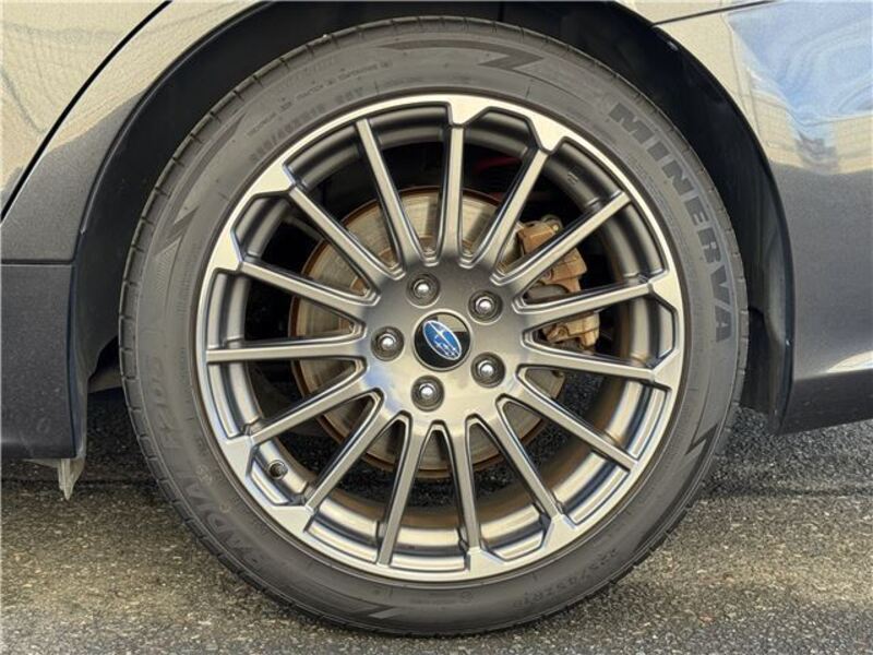 LEVORG