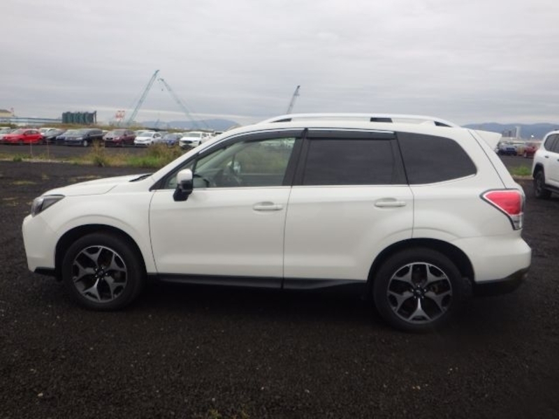 FORESTER