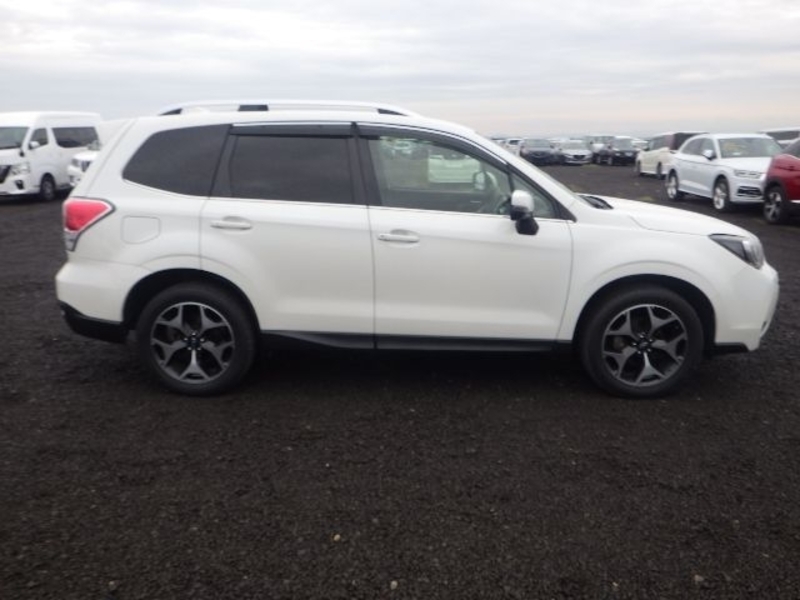FORESTER