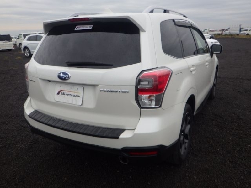 FORESTER