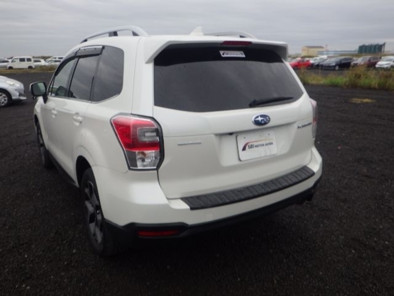 FORESTER