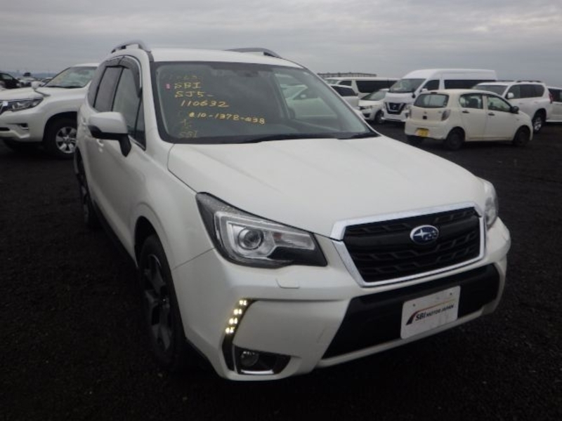 FORESTER