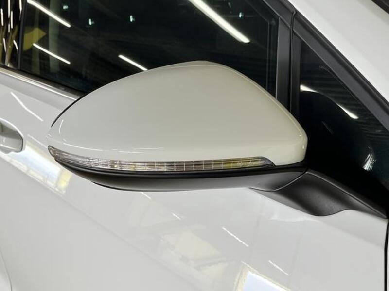 GOLF VARIANT