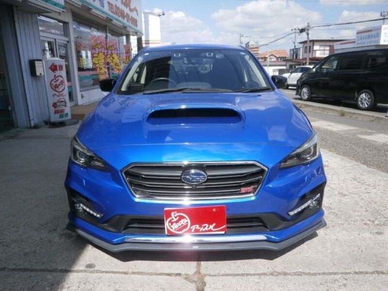 LEVORG