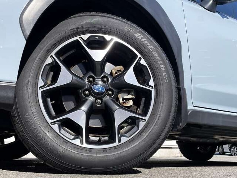 XV