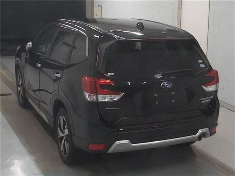 FORESTER