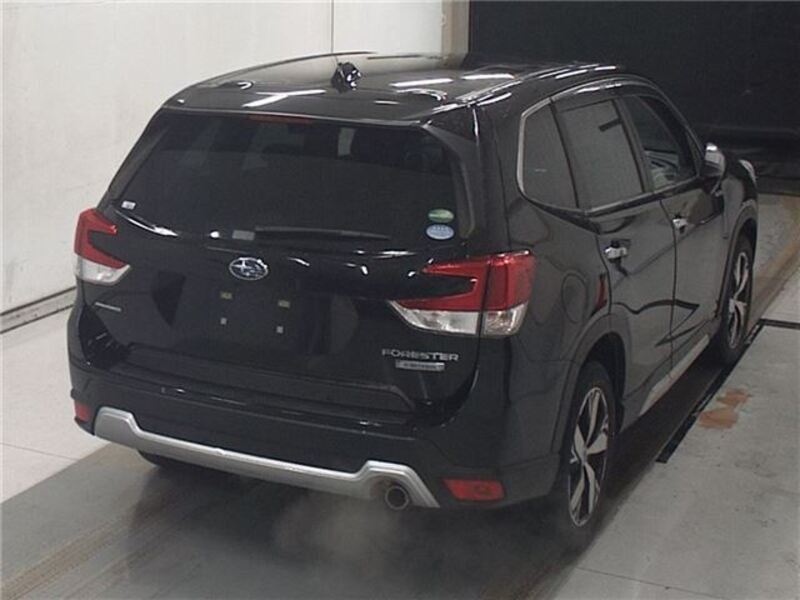 FORESTER