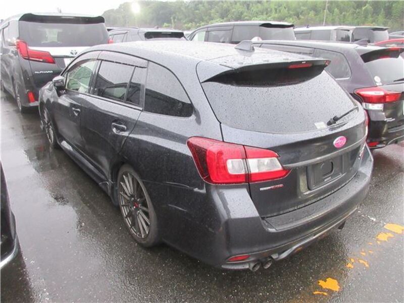 LEVORG