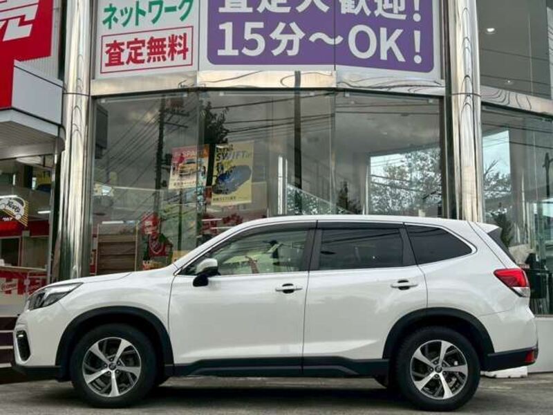 FORESTER