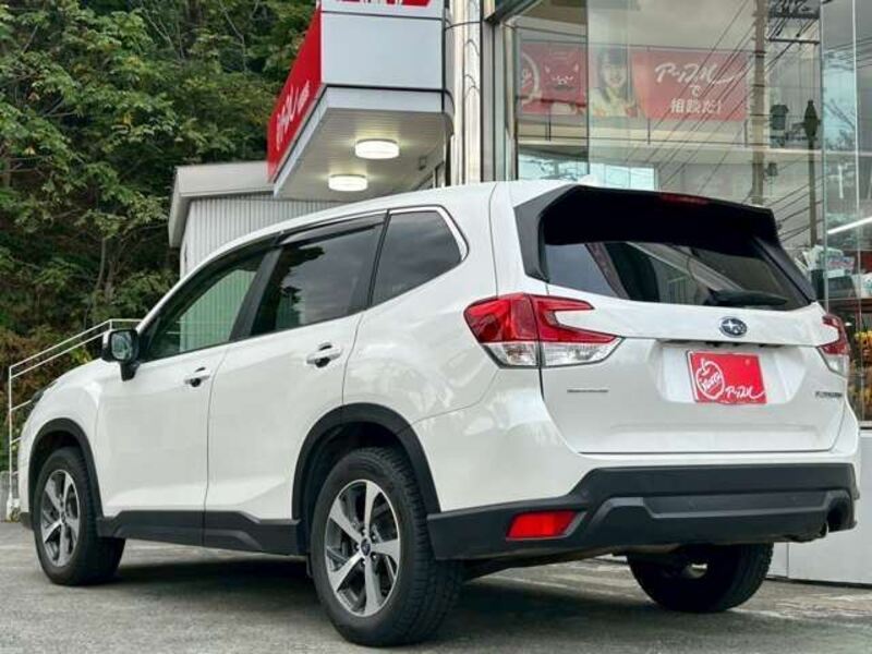 FORESTER