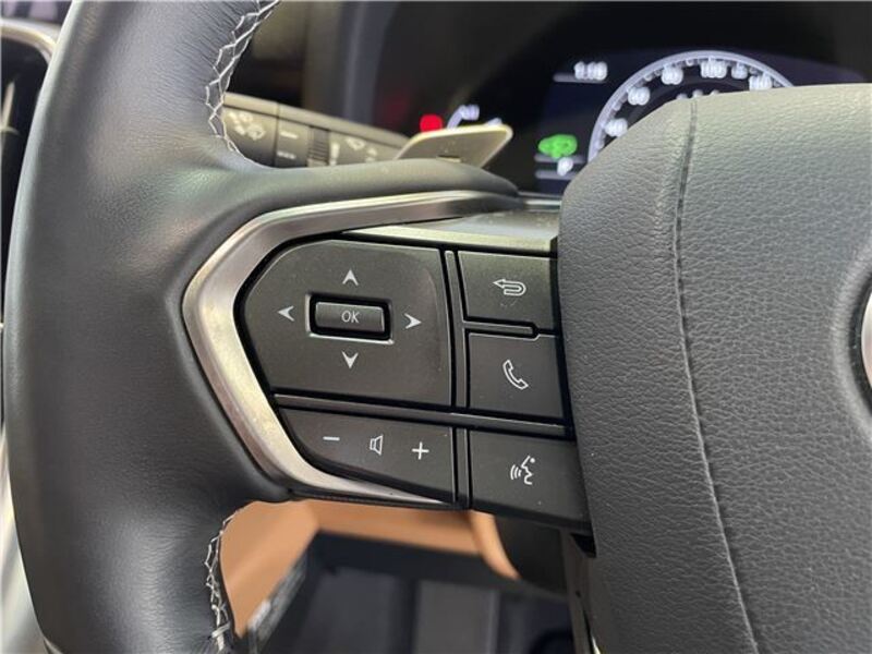 LX