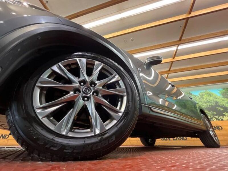 CX-8