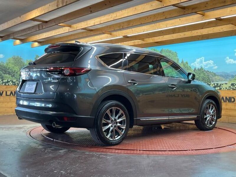 CX-8