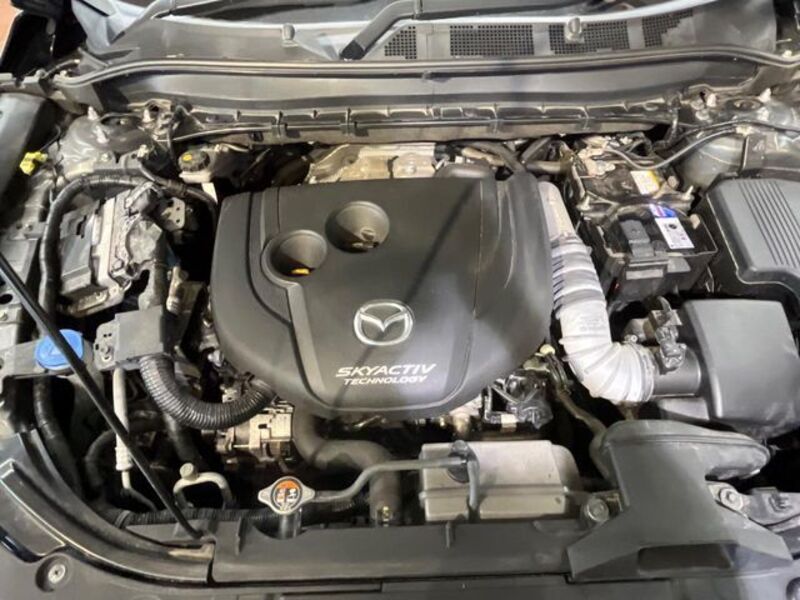 CX-8