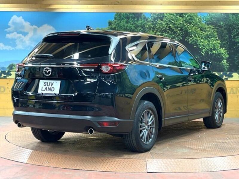 CX-8