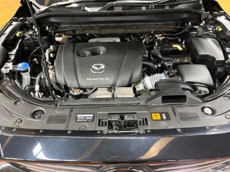 CX-8