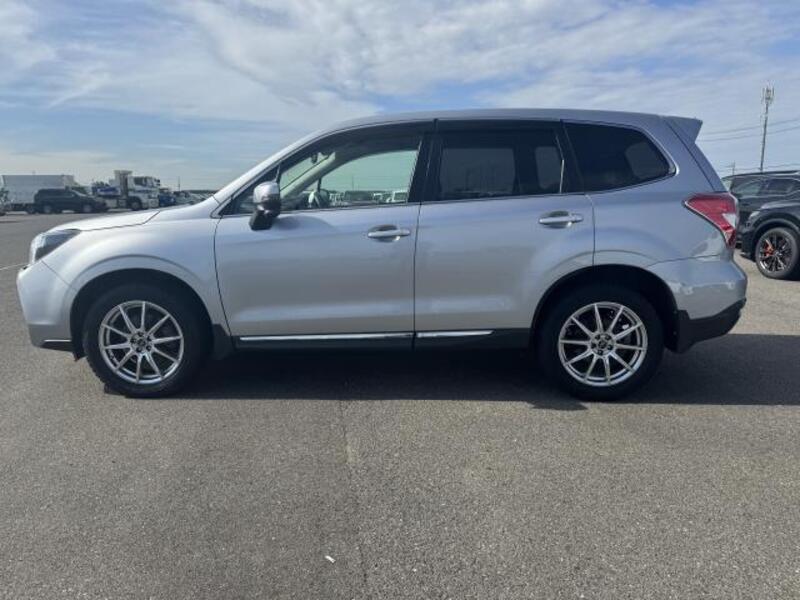 FORESTER