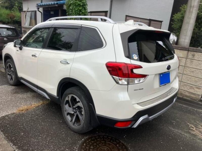 FORESTER