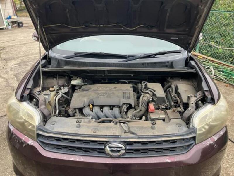 COROLLA RUMION