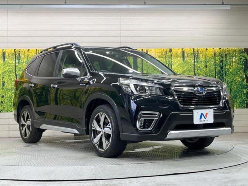 FORESTER