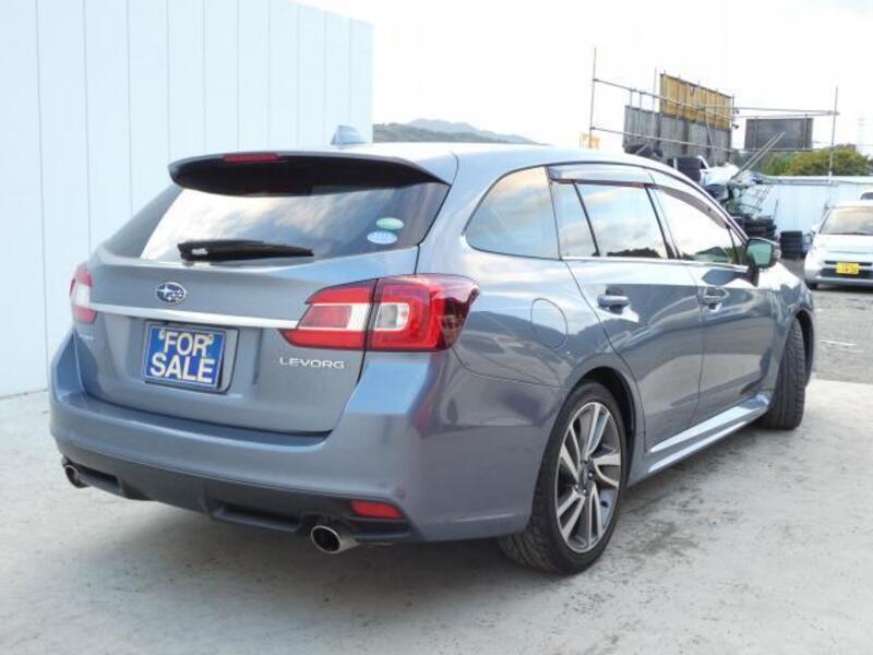 LEVORG