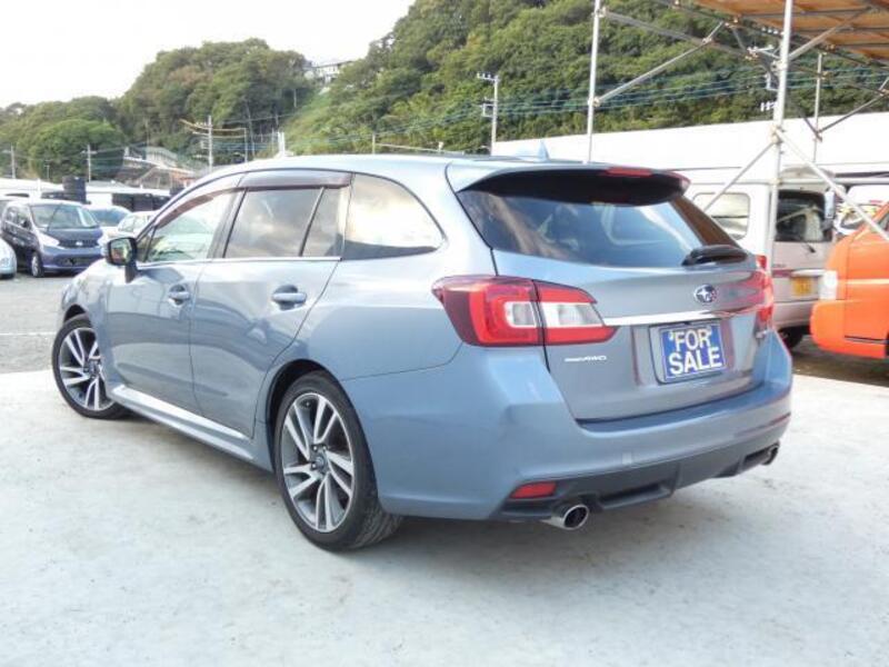 LEVORG