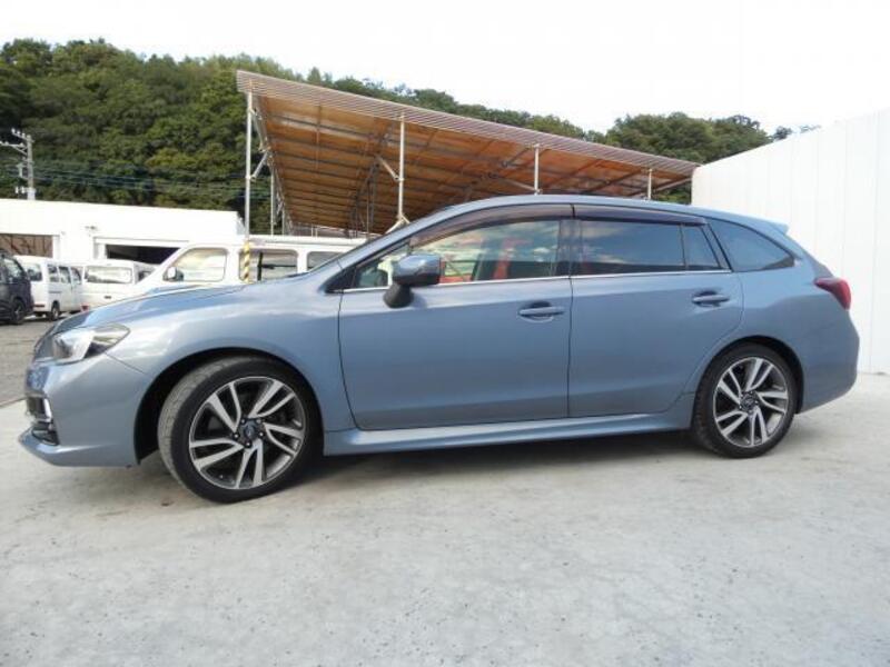 LEVORG