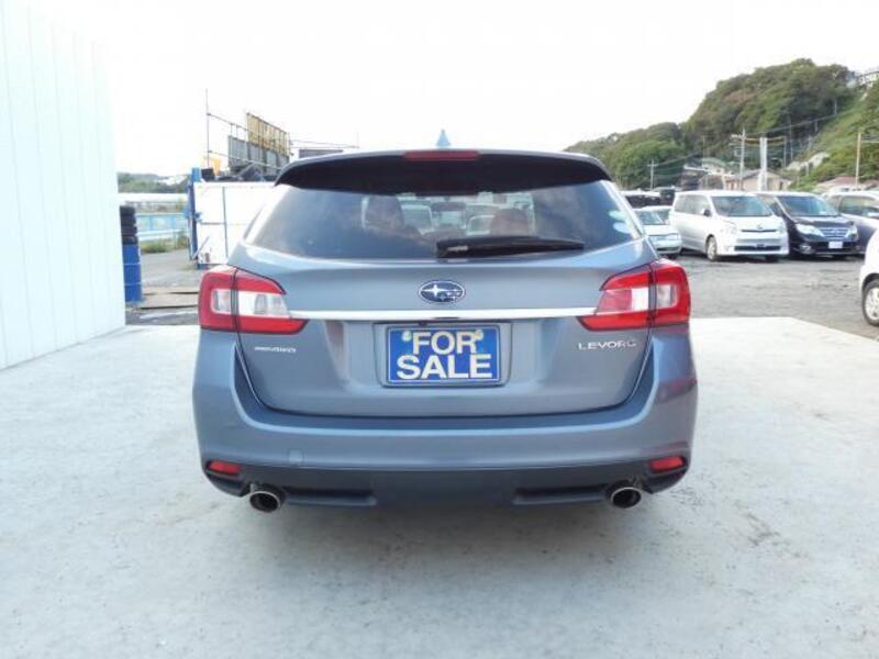 LEVORG