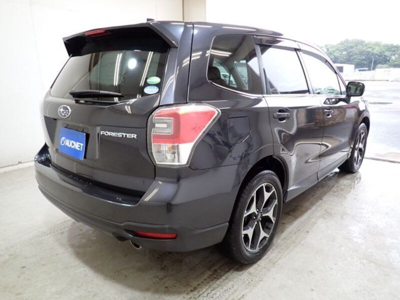 FORESTER