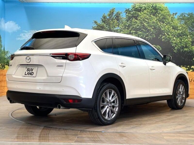 CX-8