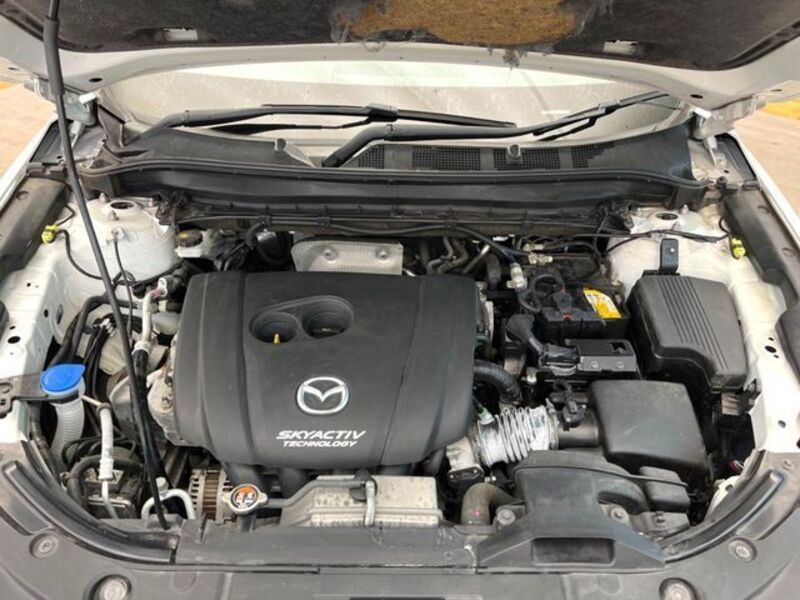 CX-8
