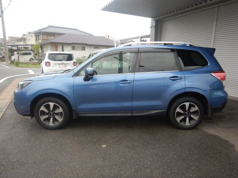 FORESTER