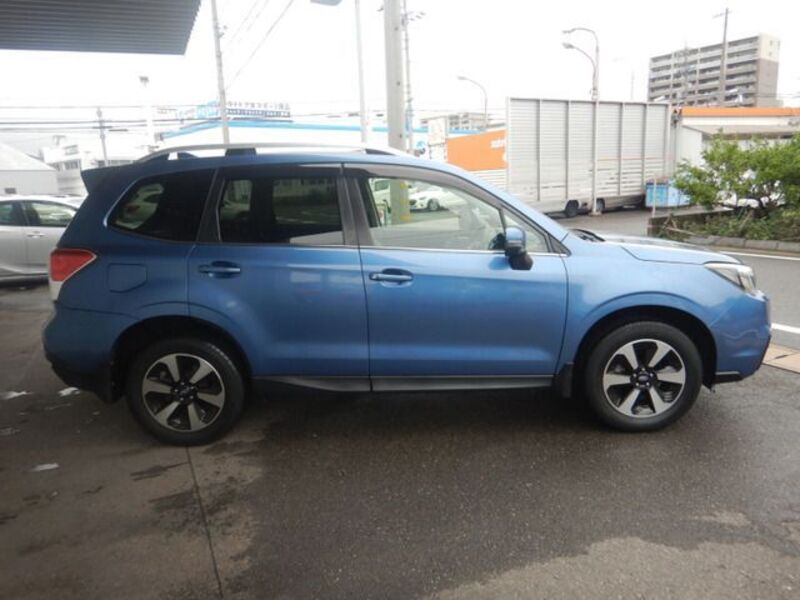 FORESTER