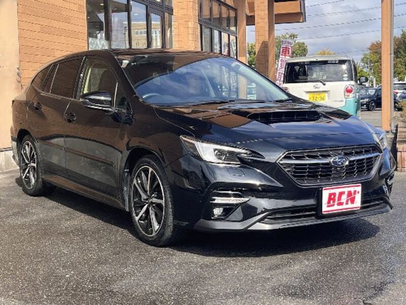 LEVORG