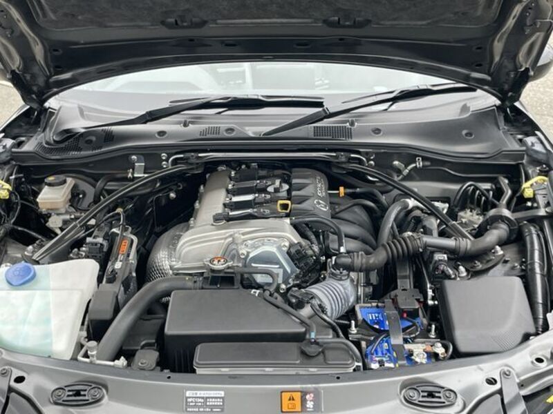 ROADSTER RF
