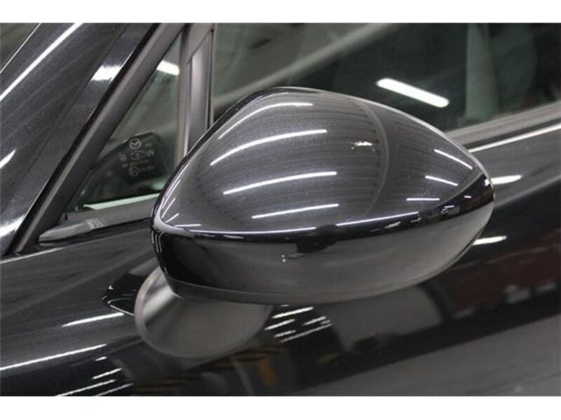 ROADSTER RF