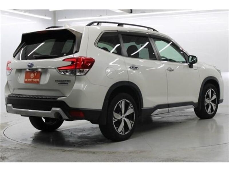 FORESTER