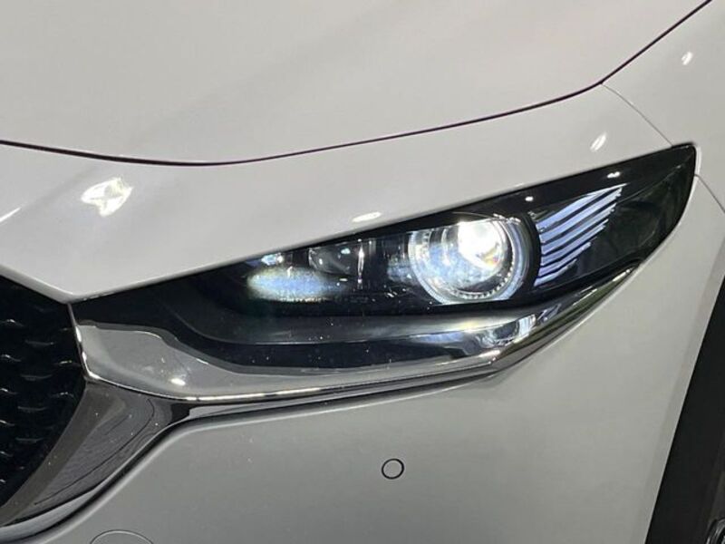 CX-30