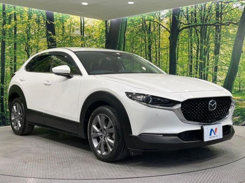 CX-30