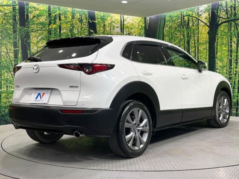 CX-30