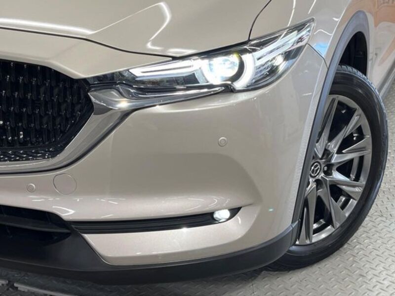 CX-8