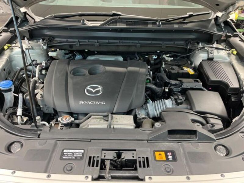 CX-8